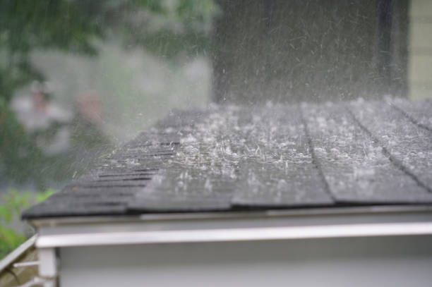 Best Roof Inspection  in Rockville, MN