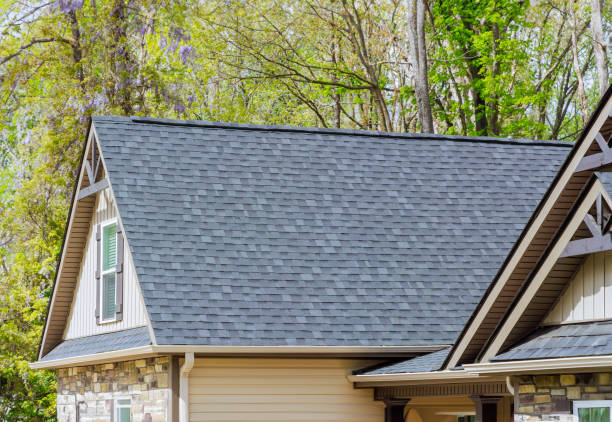 Best Sheet Metal Roofing  in Rockville, MN